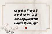 Tenshoku | Japanese Solid Brush, a Handwritten Font by Denustudios (Thumbnail 11 of 12)