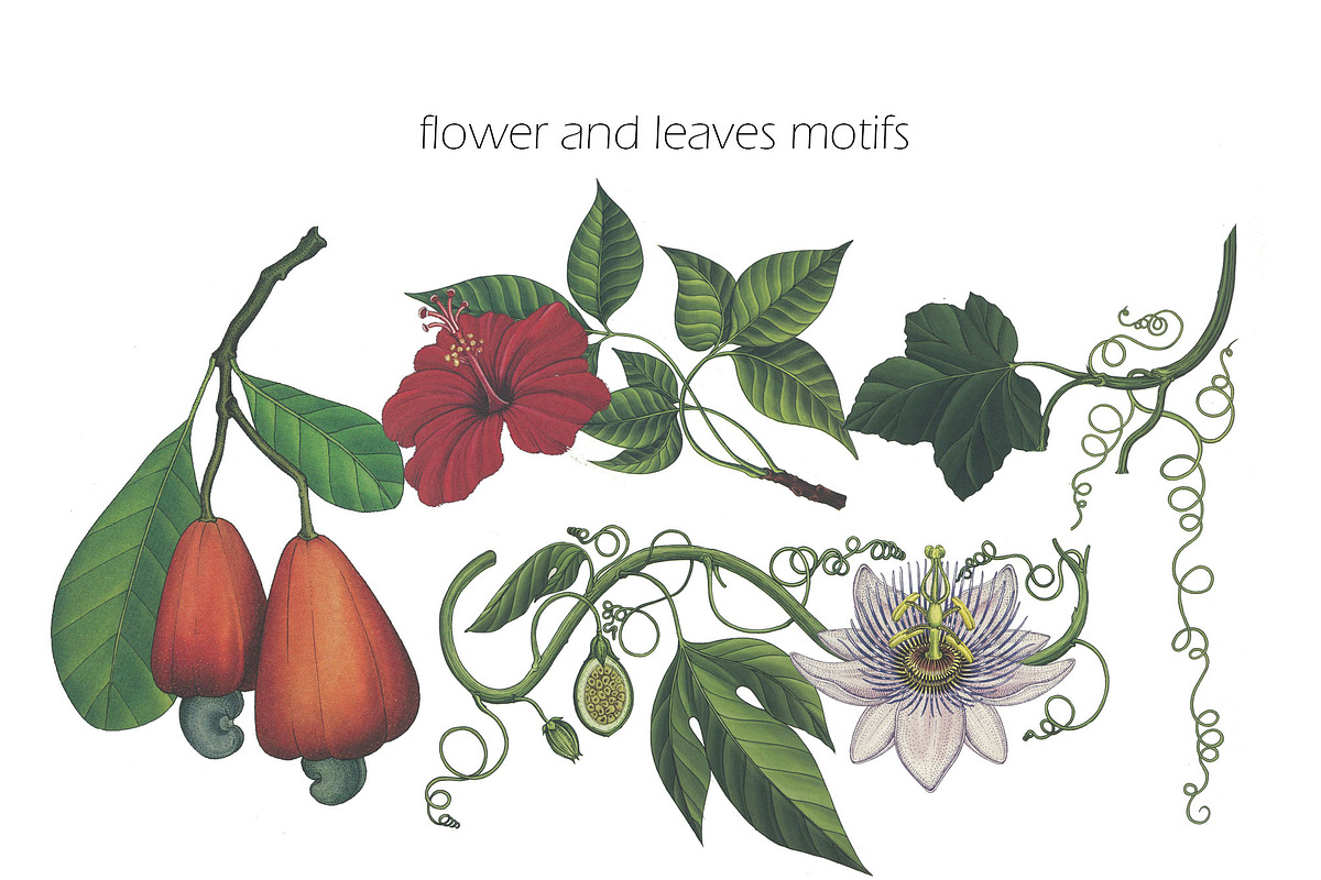 SPRING FLOWERS AND BIRDS PATTERN, a Pattern Graphic by gmzgns (Photo 6 of 8)