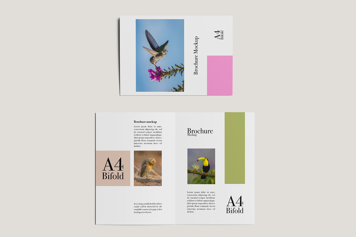 8 PSD - Brochure A4 Bifold Mockup, a Print Template by rahmatmoscae (Photo 6 of 8)