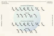 Renneal, a Serif Font by Nathatype (Thumbnail 11 of 11)