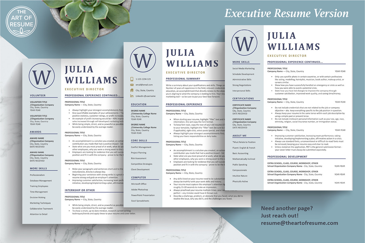 Executive Resume CV Template, a Resume Template by The Art of Resume (Photo 6 of 8)