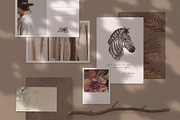 SAVANNA Watercolor animal set, an Animal Illustration by Anastezia Luneva (Thumbnail 13 of 13)