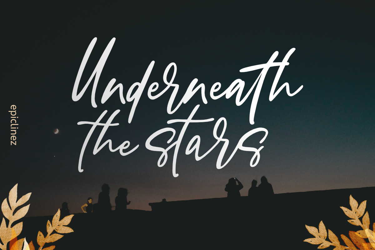 Brown Sound | Stylish Signature, a Script Font by Epiclinez (Photo 3 of 5)