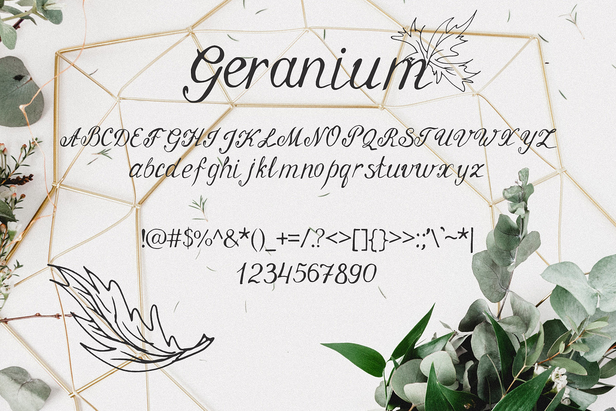 Geranium Font preview 4