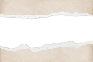 Ripped paper with copy space