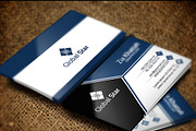 Global Star Vol-4 Business, a Business Card Template by Zia Grfx (Thumbnail 2 of 2)