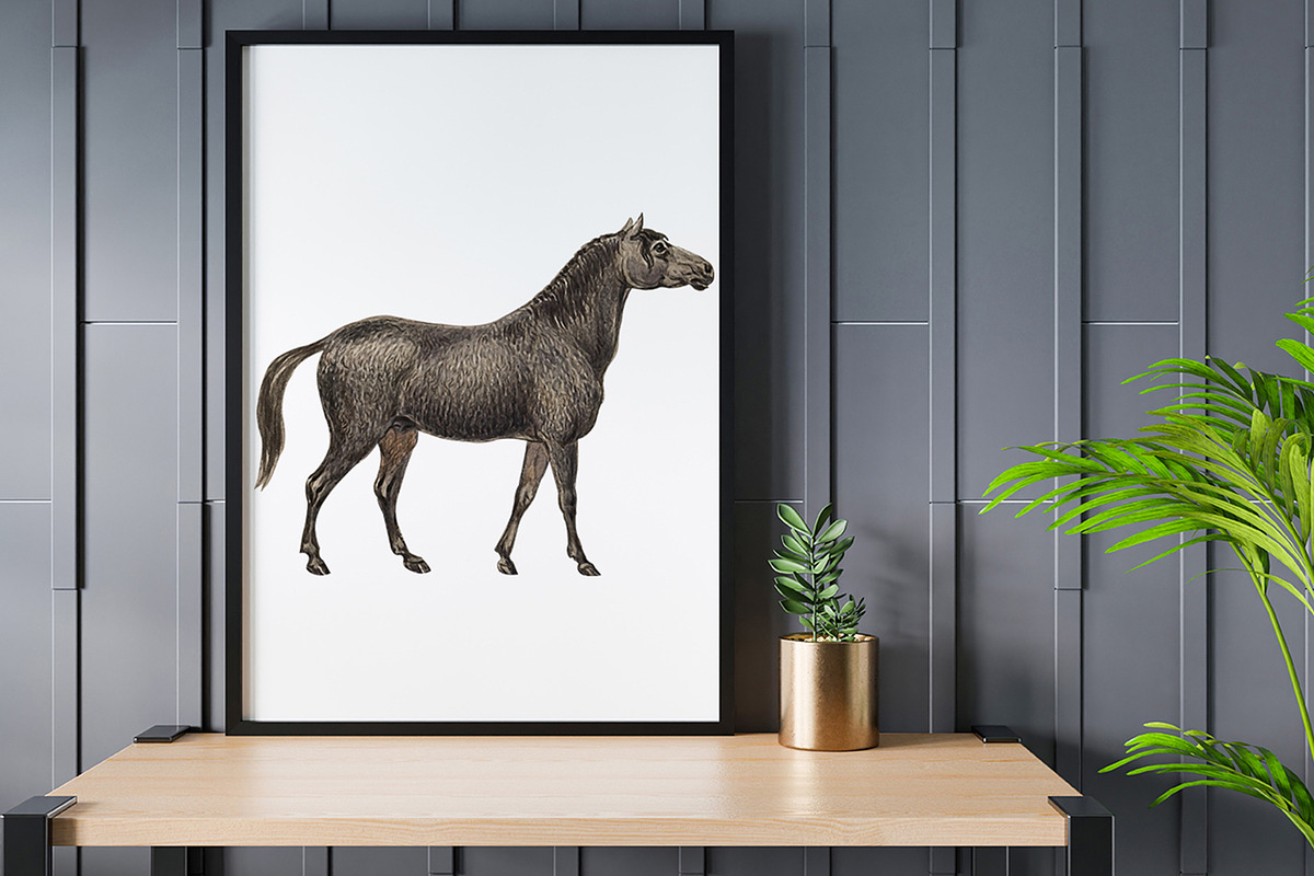 Horses Clipart, an Animal Illustration by Cool Worker (Photo 3 of 3)