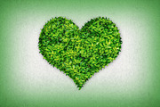 Leaf Text Effect Photoshop Action, an Action Add-On by DESIGNAVO (Thumbnail 7 of 7)
