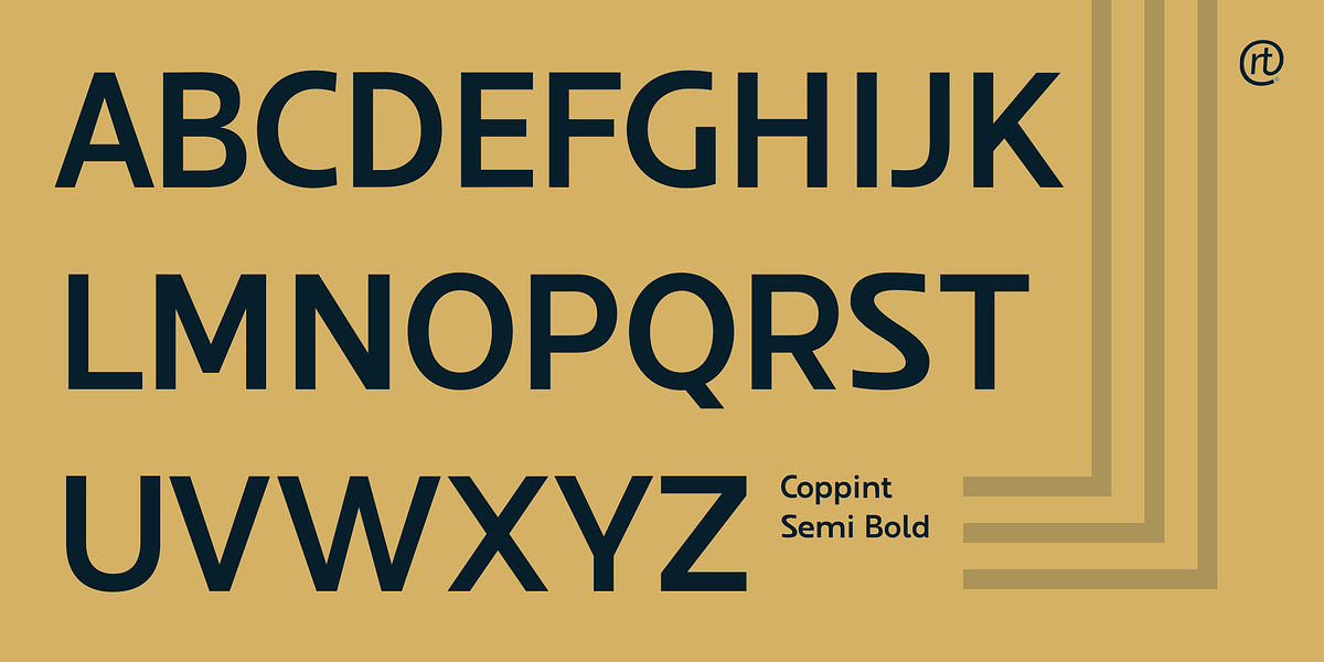 Coppint, a Sans Serif Font by Ridtype Foundry (Photo 5 of 12)