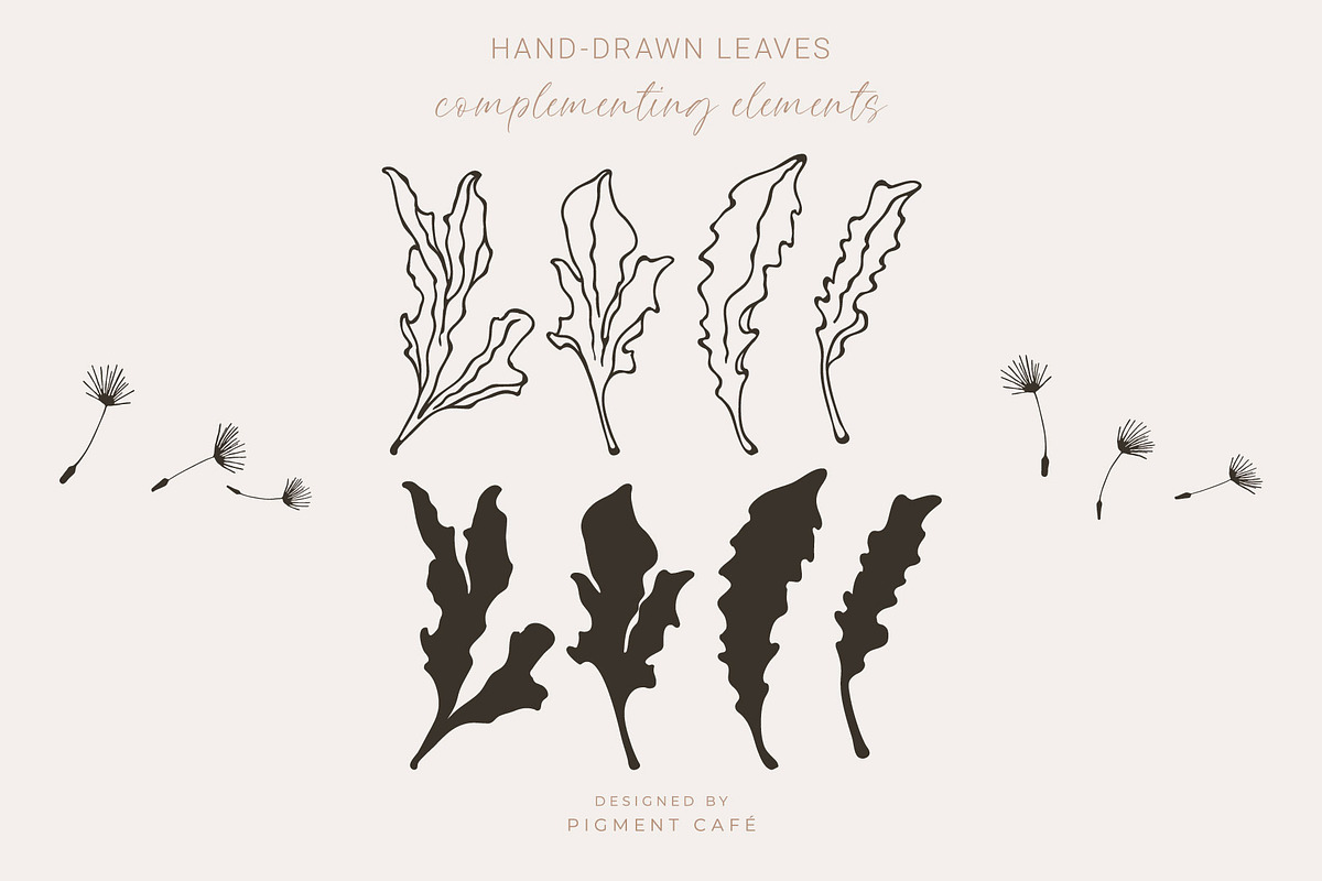Artistic Dandelion Sketches, a Decorative Illustration by Pigment Café (Photo 4 of 6)