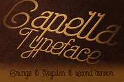 SALE Bundle 249 Fonts & 414 Logos, a Font by Cruzine (Thumbnail 13 of 58)