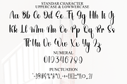 Midnight Wonderful, a Handwritten Font by InermediaSTUDIO (Thumbnail 6 of 8)