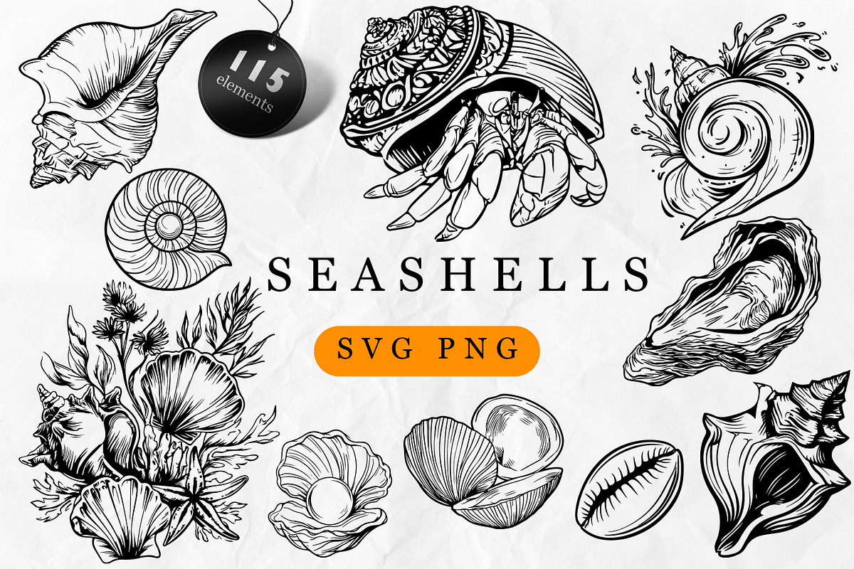 Seashell SVG Bundle, an Object Graphic by Dervik Art Store (Photo 1 of 5)