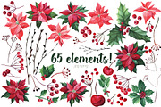 Watercolor Christmas flowers, a Decorative Illustration by YuliaBiser (Thumbnail 2 of 10)
