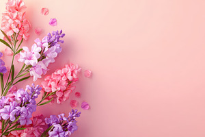 Pink and purple hyacinth flowers on pastel background, a Nature Photo by AlyaAnd