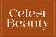 Mestro Serif || Modern Ligature, a Serif Font by ToniStudio (Thumbnail 3 of 10)