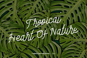 Endago | Monoline Typeface, a Handwritten Font by Brew & Butcher Studio (Thumbnail 7 of 8)
