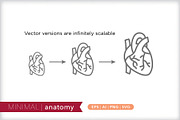 Minimal anatomy icons, an Outline Icon by Picture Window (Thumbnail 4 of 5)