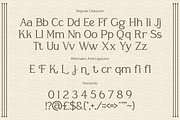 Feronia – Elegant Serif Font, a Serif Font by Vadovastd (Thumbnail 8 of 8)