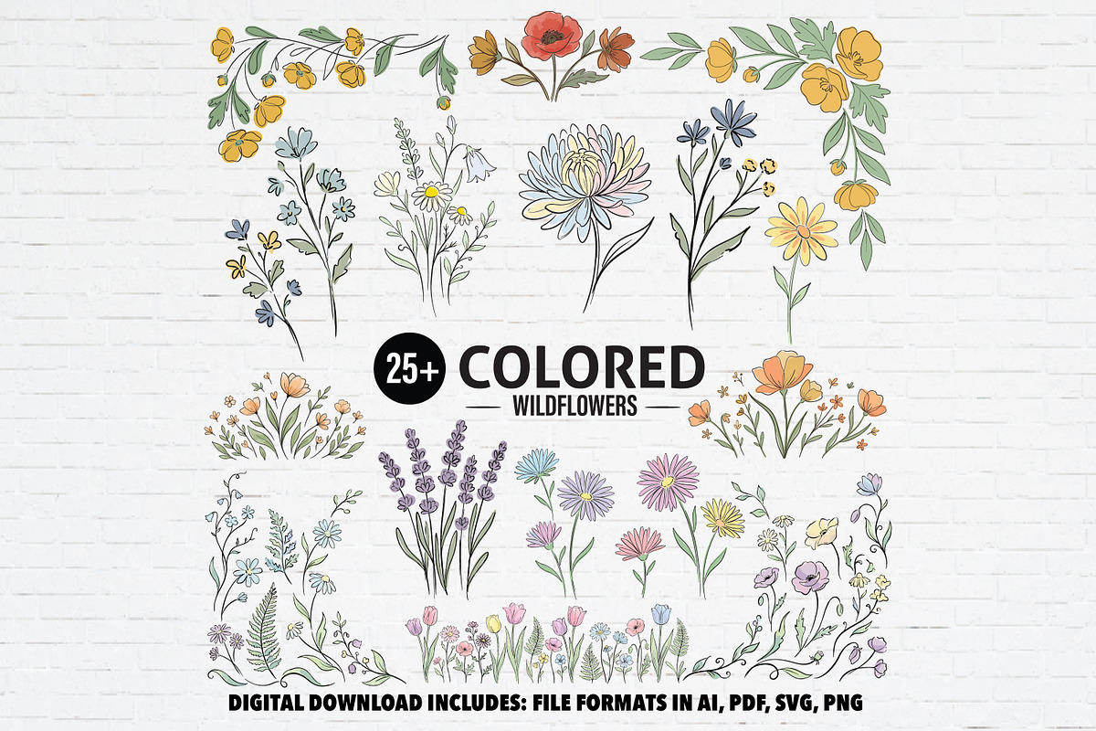 Hand Drawn Colored Wildflower, a Decorative Illustration by Guavanaboy (Photo 1 of 3)