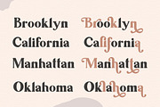 Ragila ~ Ligature Serif Font, a Serif Font by Vultype Co. (Thumbnail 8 of 16)
