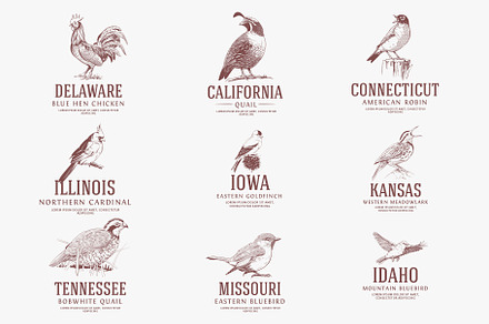 USA State Birds Logo Bundle