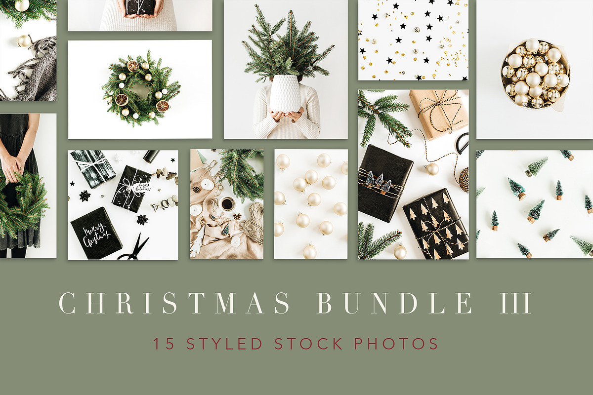 Christmas Bundle 3, a Holiday Photo by Floral Deco (Photo 1 of 9)