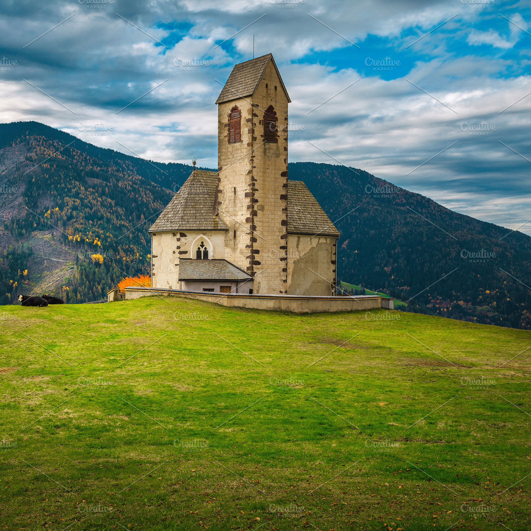 St Jakob church on the green field, an Architecture Photo by Alpine Dreams