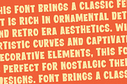 FelientVintegen - Decorative Vintage, a Handwritten Font by MaikoHatta (Thumbnail 8 of 9)