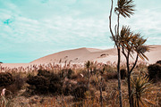 Orange & Teal Lightroom Presets, an Action Add-On by PhotoMarket (Thumbnail 38 of 42)