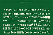 CS Lobelia Stamp, a Serif Font by Craft Supply Co. (Thumbnail 8 of 8)