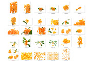 29 Sweet Osmanthus photos, a Nature Photo by Pullia (Thumbnail 2 of 5)