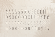 Orlevin | New Modern Serif, a Serif Font by gracetype_studio (Thumbnail 11 of 12)