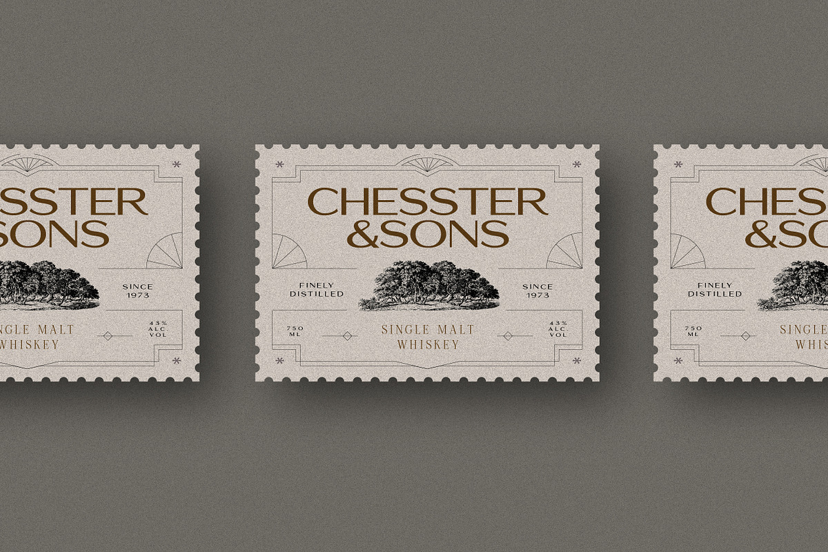 Preston - Classy All-caps Sans, a Sans Serif Font by Harmonais Visual (Photo 5 of 10)