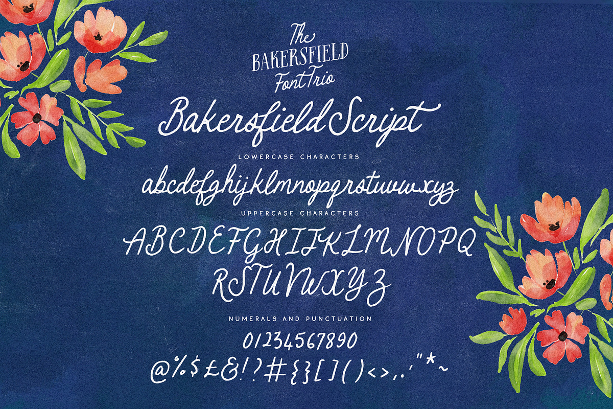 The Bakersfield Font Trio, a Handwritten Font by Nicky Laatz (Photo 15 of 18)