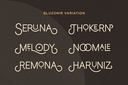 Bluzonir Stylish Sans Serif Font, a Sans Serif Font by Typebae (Thumbnail 6 of 8)