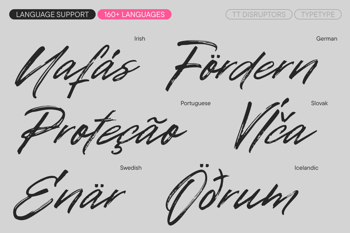 TT Disruptors, a Script Font by TypeType (Photo 7 of 12)