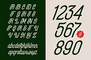 Maxplein Modern Script Bold Logotype, a Script Font by timelesstype.co (Thumbnail 18 of 20)