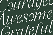 Cedar & Ink Typeface, a Serif Font by aquene (Thumbnail 14 of 16)