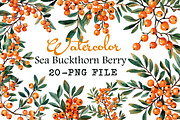 Watercolor Sea Buckthorn berry Clipa, an Illustration by Libby Wishes (Thumbnail 1 of 7)