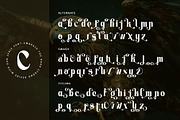 Brave Journey, a Serif Font by Letterara (Thumbnail 10 of 12)