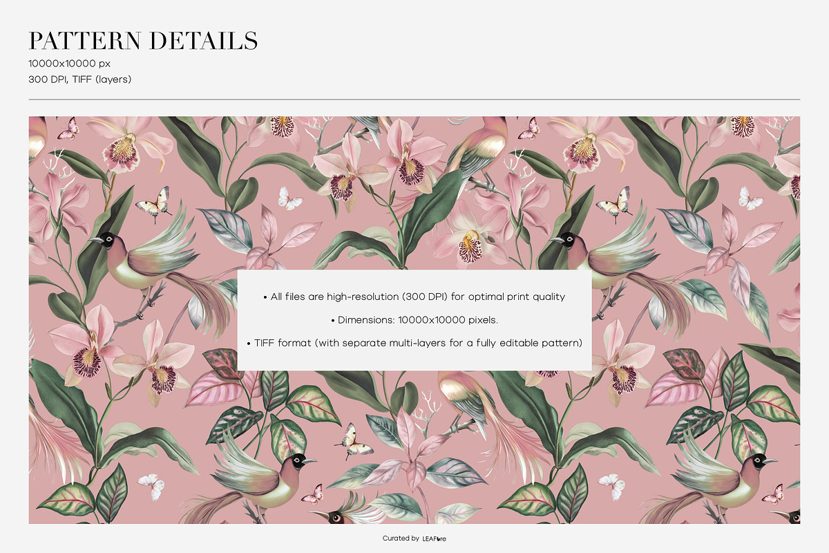 Elori Exotic Watercolor Patterns, a Pattern Graphic by LEAFure (Photo 3 of 10)