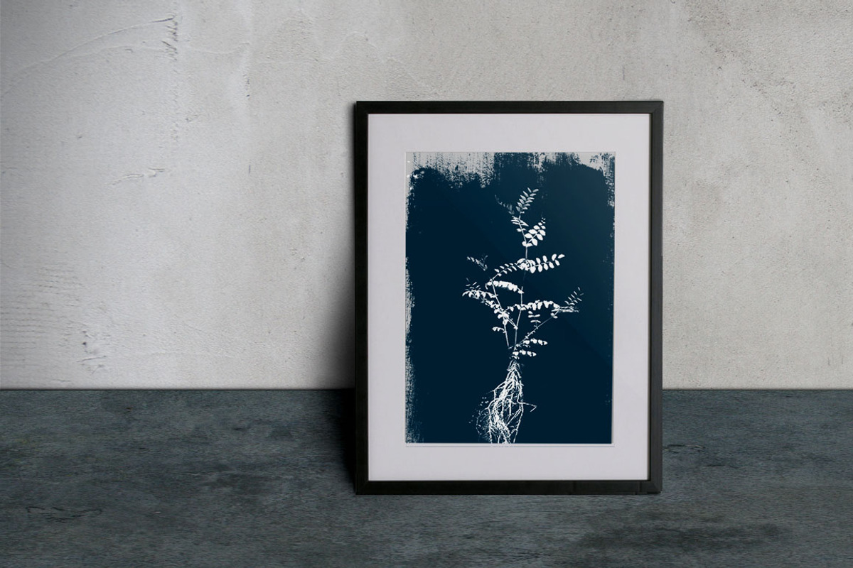 Digital Cyanotype Effect, a Brushes & More by Foto Rx Co. (Photo 5 of 8)
