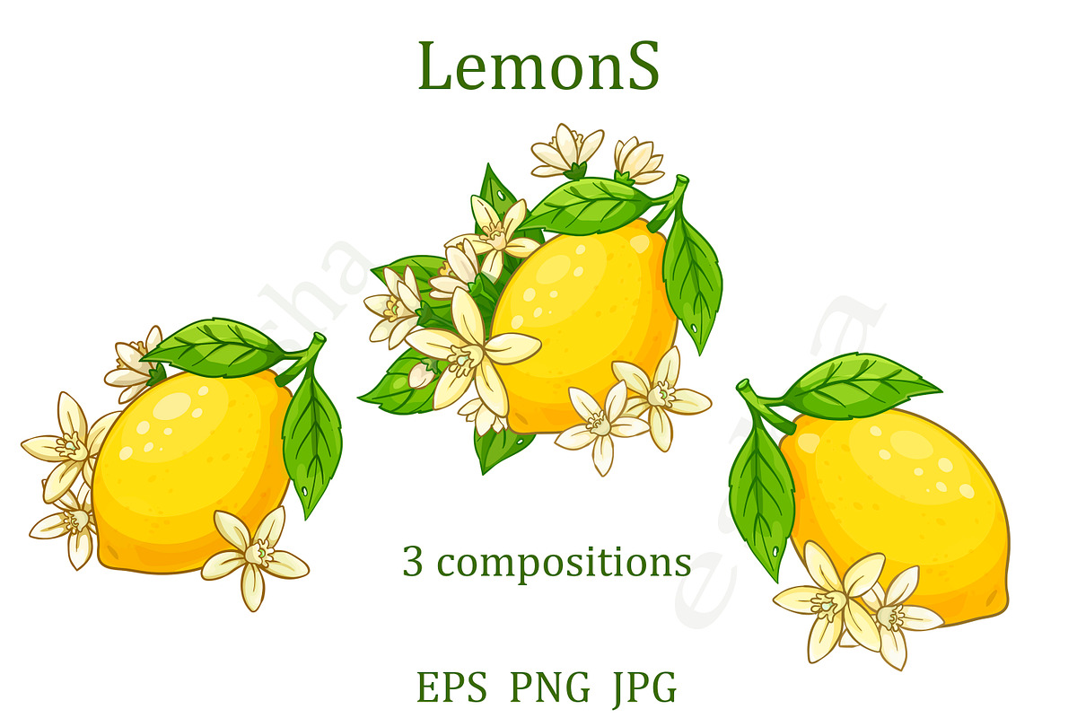 Lemon Blossom Vector Set – 3 Floral, an Illustration by EshaStudio (Photo 2 of 5)