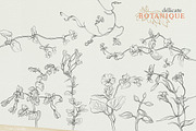 Pencil flowers | delicate drawings, an Illustration by GrafikBoutique (Thumbnail 3 of 9)