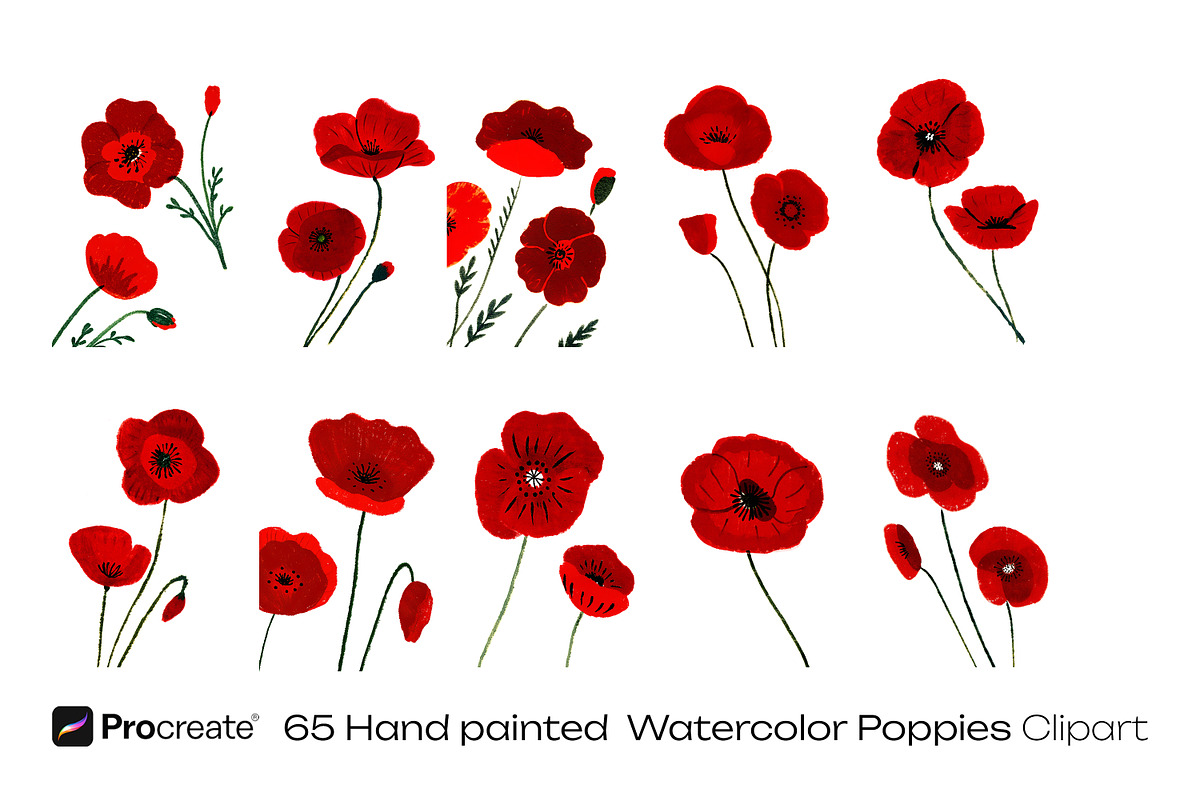Watercolor Poppy Flowers, a Decorative Illustration by crafty (Photo 8 of 11)