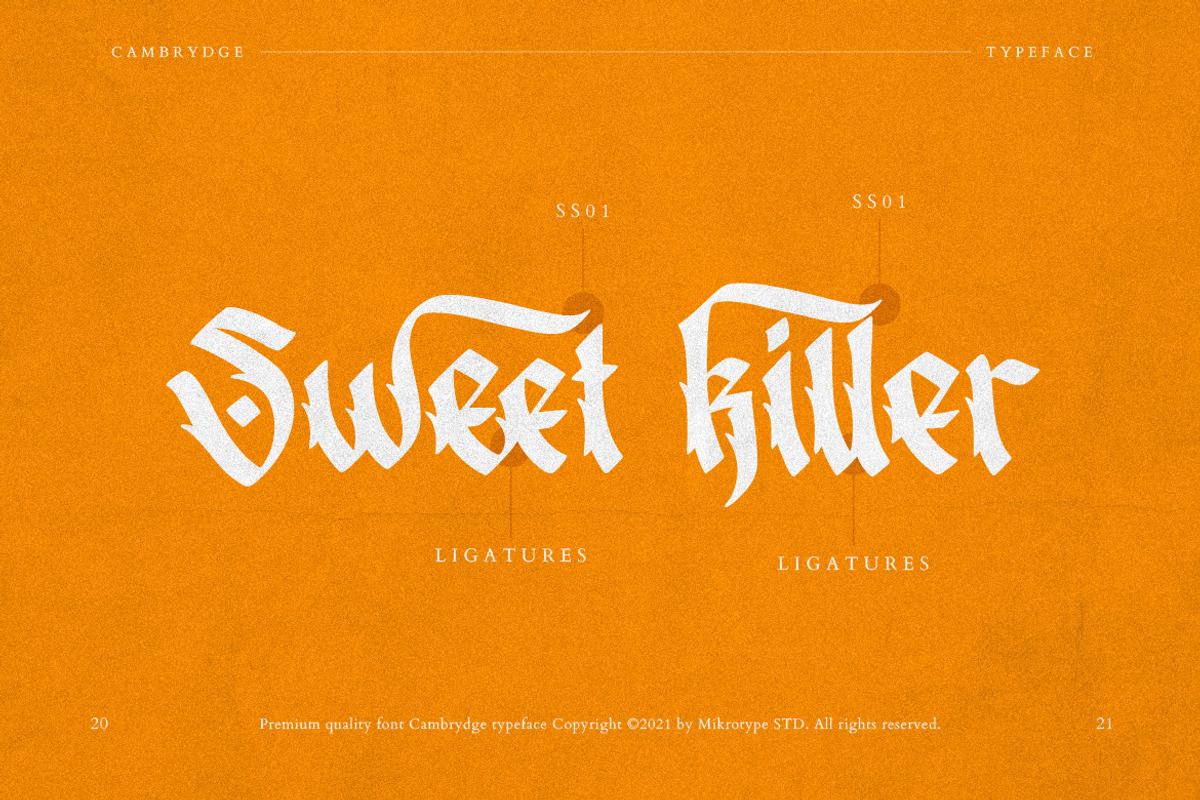 Cambrydge Gothic Advertisement Font, a Font by MikroType Std (Photo 6 of 9)