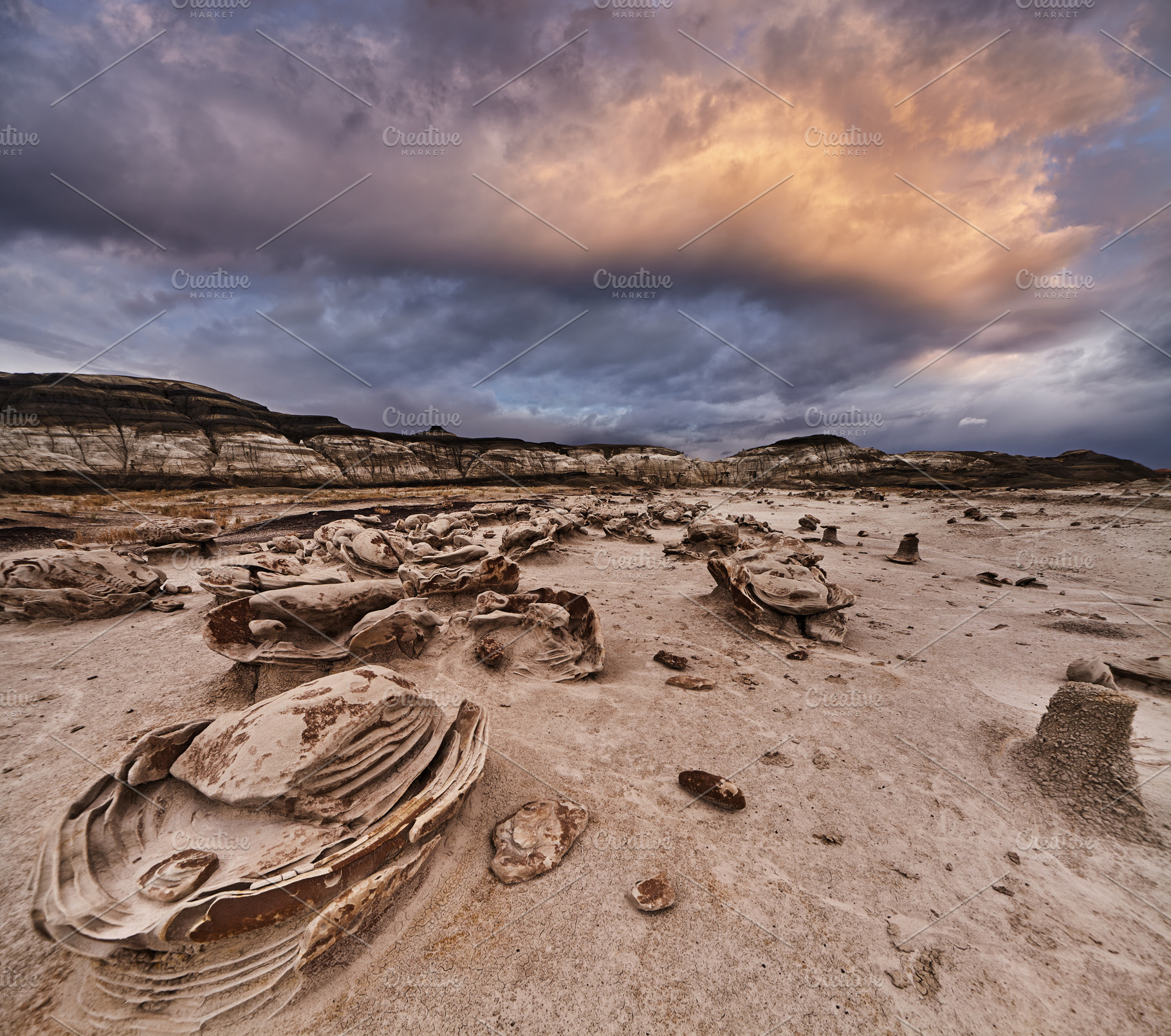 Bisti badlands, New Mexico, USA, a Nature Photo by Shop Name