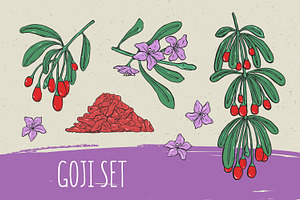 Goji berries set, seamless patterns, a Food Illustration by Good Studio