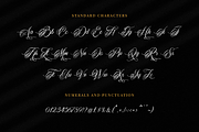 Memorable Romantic Calligraphy Font, a Script Font by RockboyStd (Thumbnail 9 of 12)